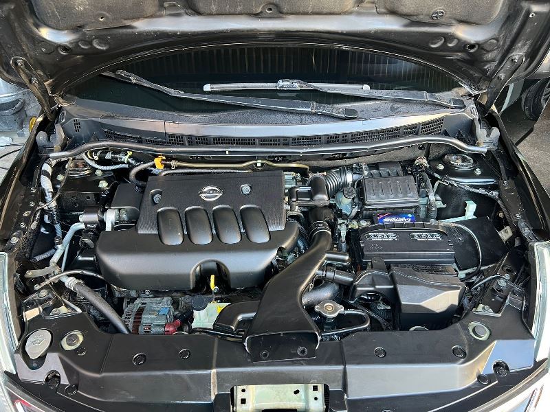 WhatsApp Image 2026-02-19 at 6.56.54 PM