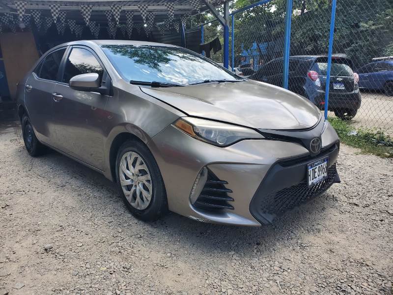 WhatsApp Image 2026-02-19 at 8.16.24 PM