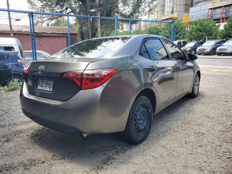 WhatsApp Image 2026-02-19 at 8.16.25 PM (2)