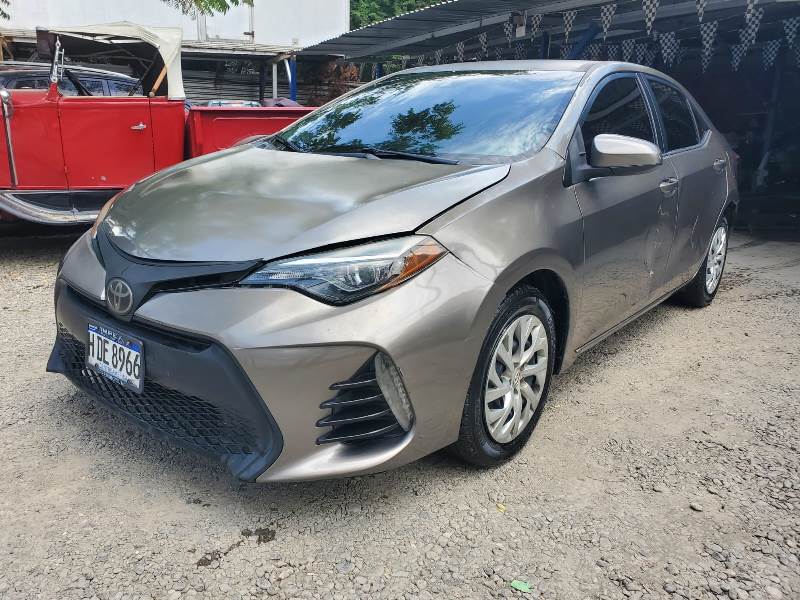 WhatsApp Image 2026-02-19 at 8.16.25 PM