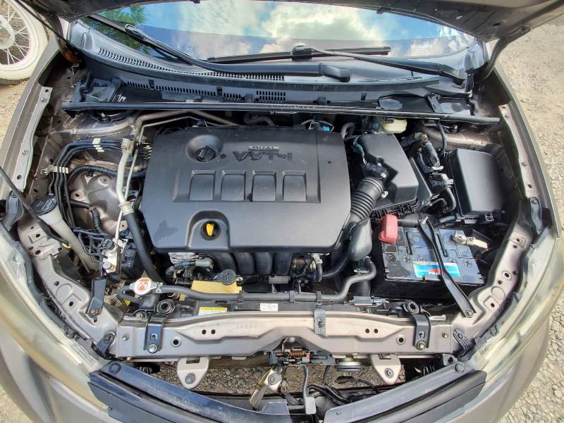 WhatsApp Image 2026-02-19 at 8.16.26 PM (1)