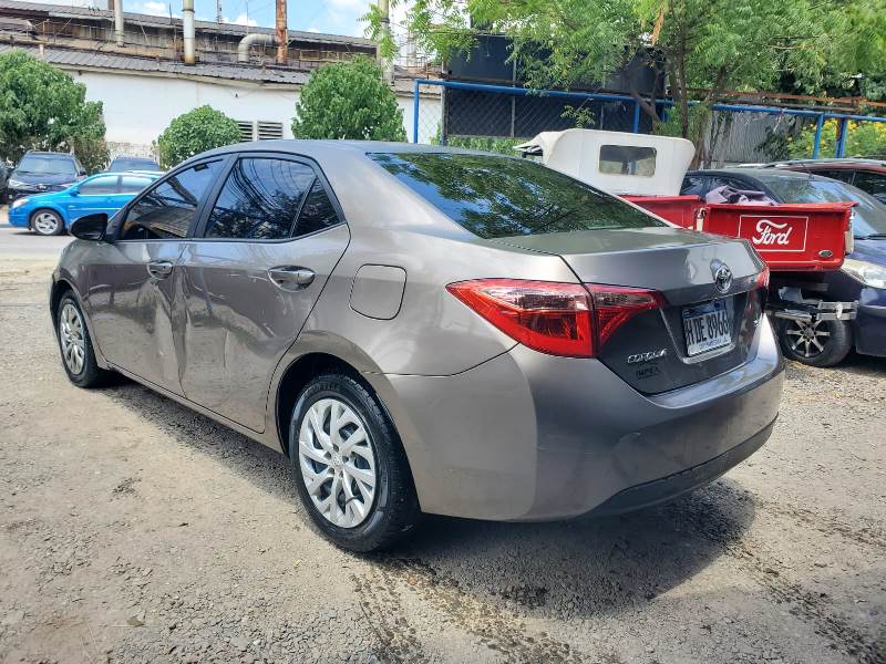 WhatsApp Image 2026-02-19 at 8.16.26 PM