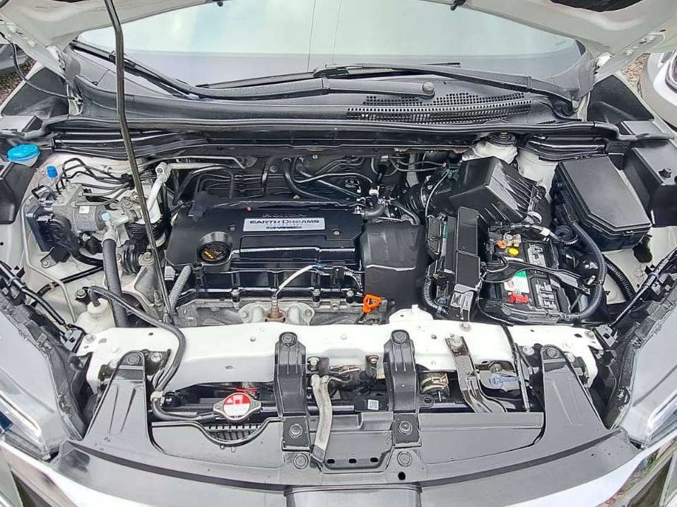 WhatsApp Image 2026-02-19 at 8.36.02 PM (1)