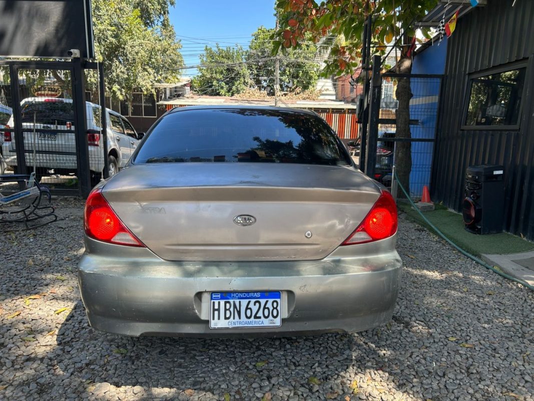 WhatsApp Image 2026-02-20 at 11.24.03 AM (1)