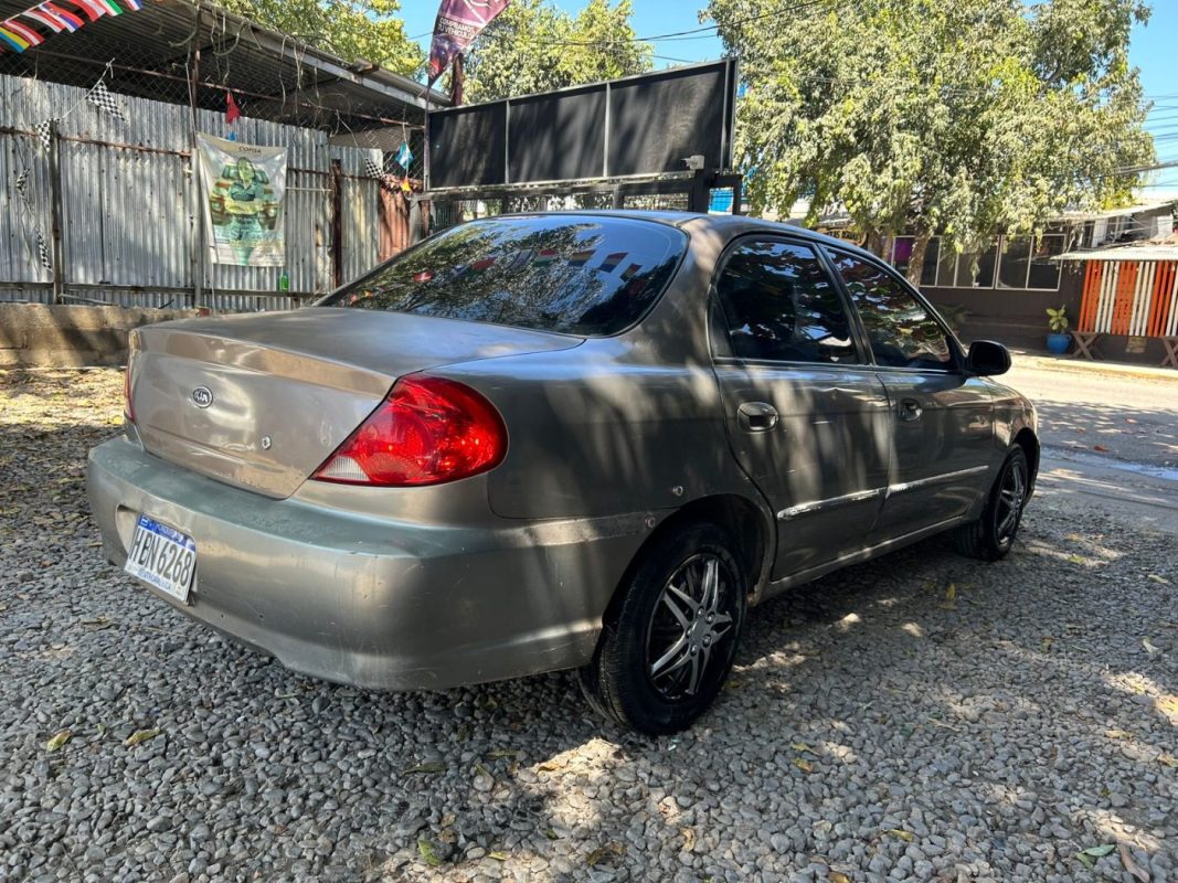 WhatsApp Image 2026-02-20 at 11.24.04 AM (2)