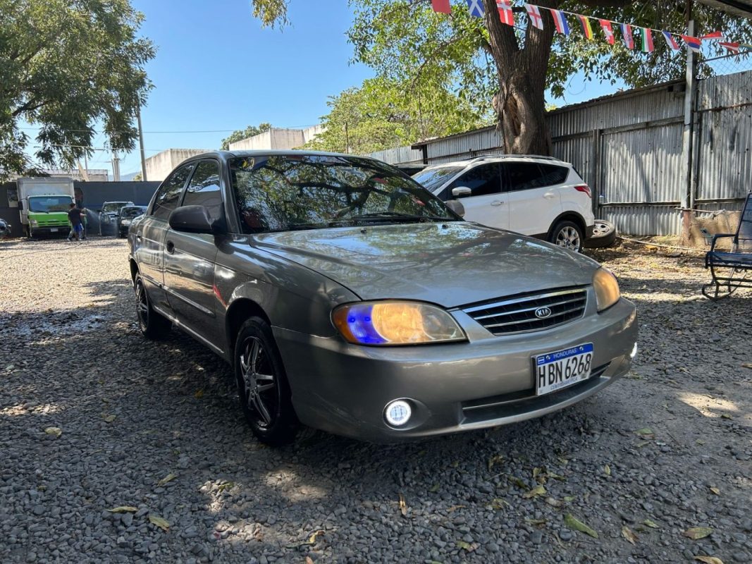 WhatsApp Image 2026-02-20 at 11.24.04 AM