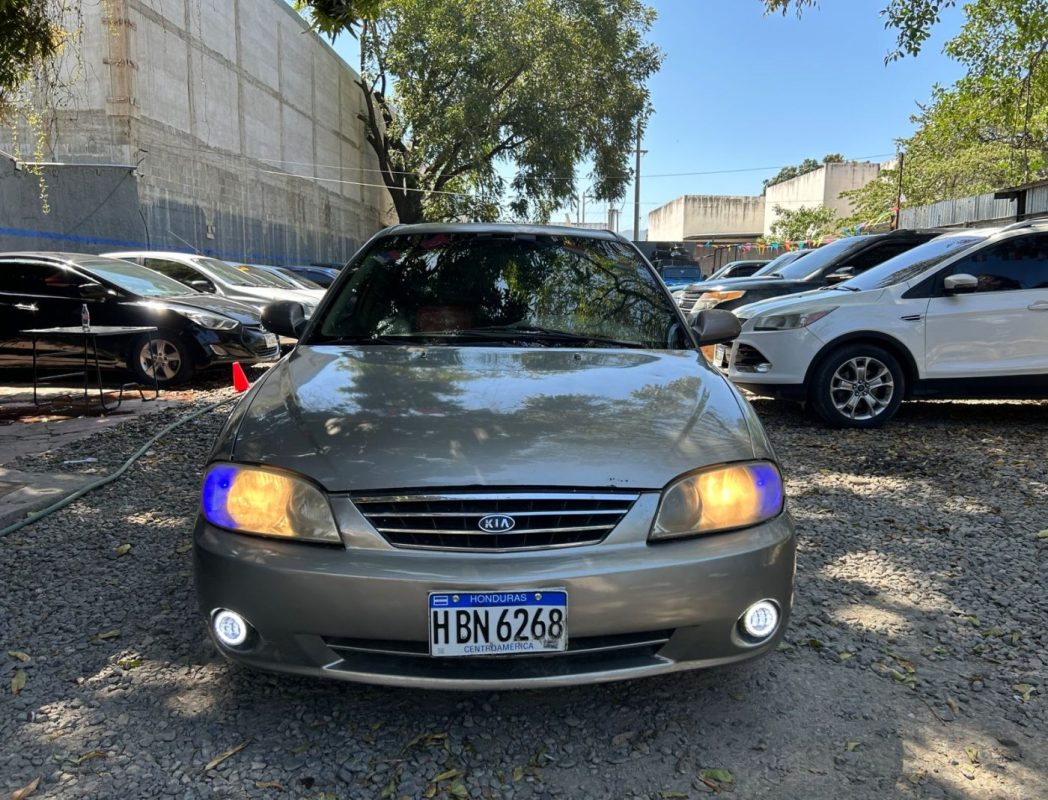 WhatsApp Image 2026-02-20 at 11.24.05 AM (2)