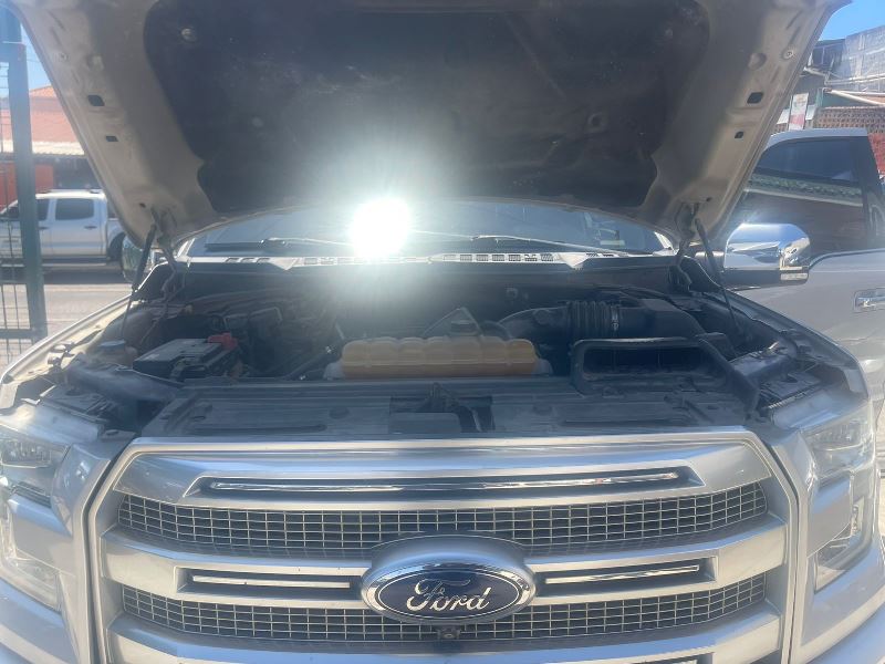 WhatsApp Image 2026-02-20 at 2.50.23 PM (3)