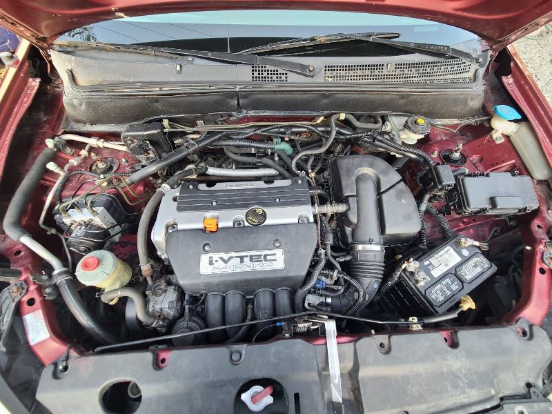 WhatsApp Image 2026-02-20 at 6.57.24 AM