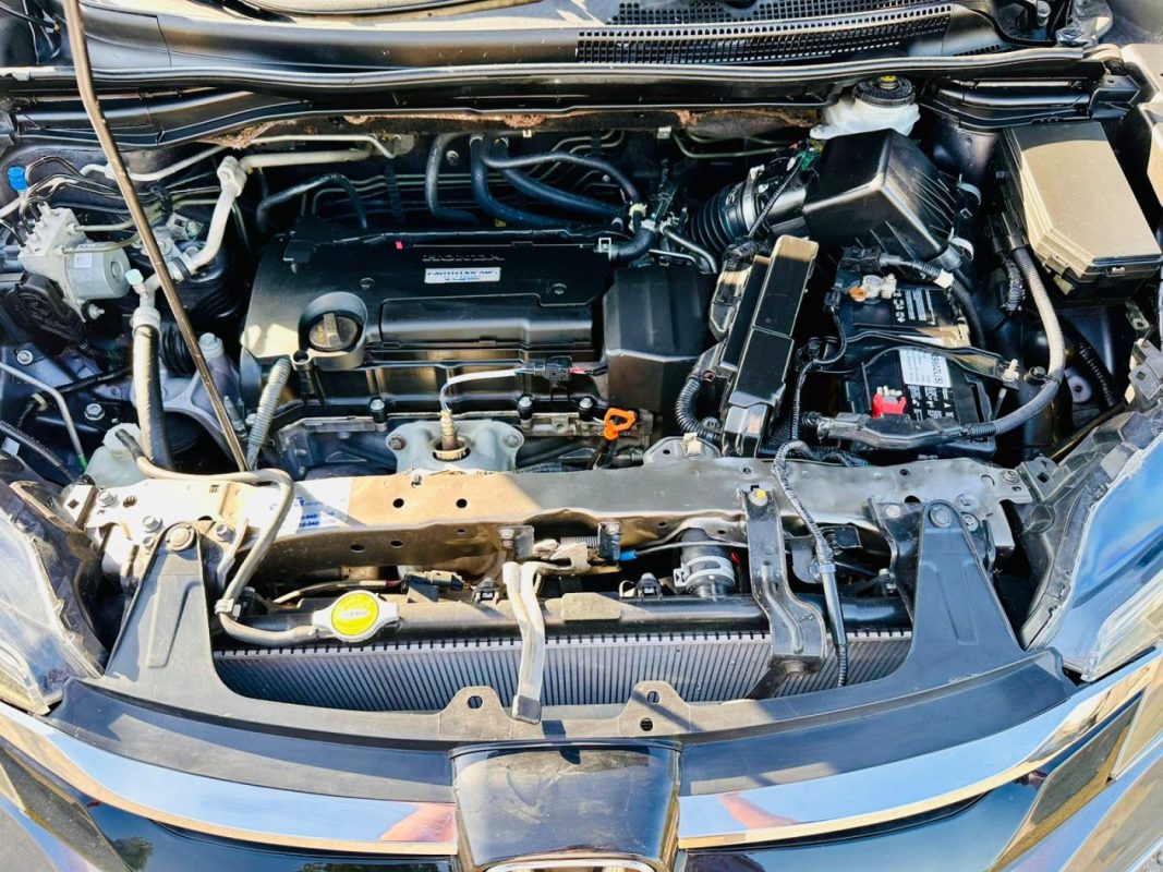 WhatsApp Image 2026-02-20 at 8.38.44 AM (2)