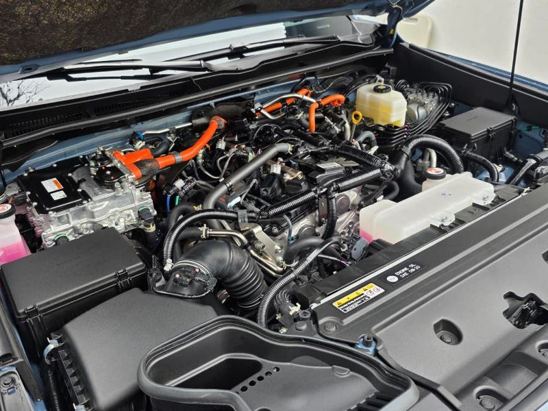 WhatsApp Image 2026-02-24 at 10.45.52 AM (2)