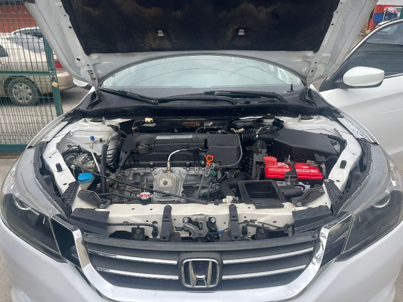 WhatsApp Image 2026-02-24 at 11.20.10 AM (4)