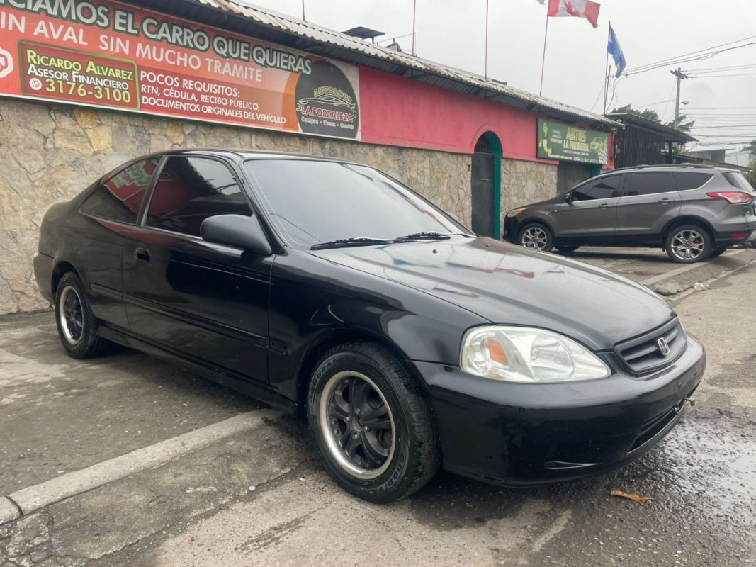 WhatsApp Image 2026-02-24 at 5.29.30 PM (1)