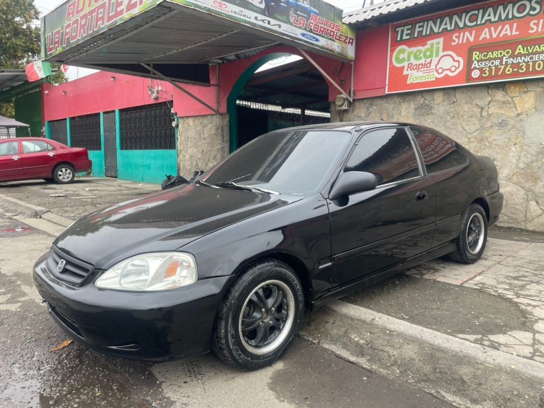 WhatsApp Image 2026-02-24 at 5.29.30 PM