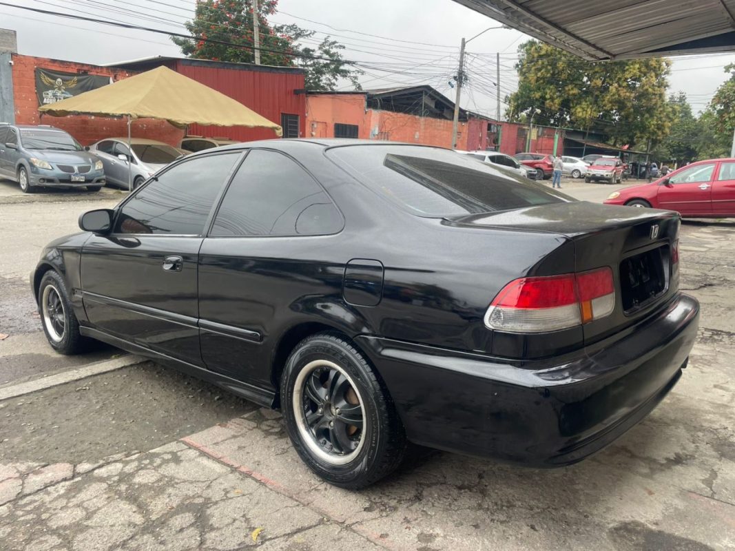 WhatsApp Image 2026-02-24 at 5.29.31 PM (1)