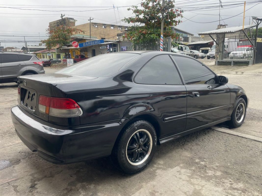 WhatsApp Image 2026-02-24 at 5.29.31 PM