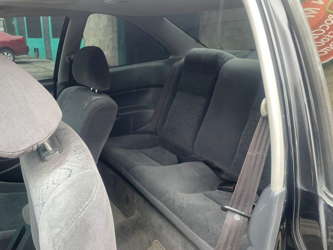 WhatsApp Image 2026-02-24 at 5.29.32 PM (1)