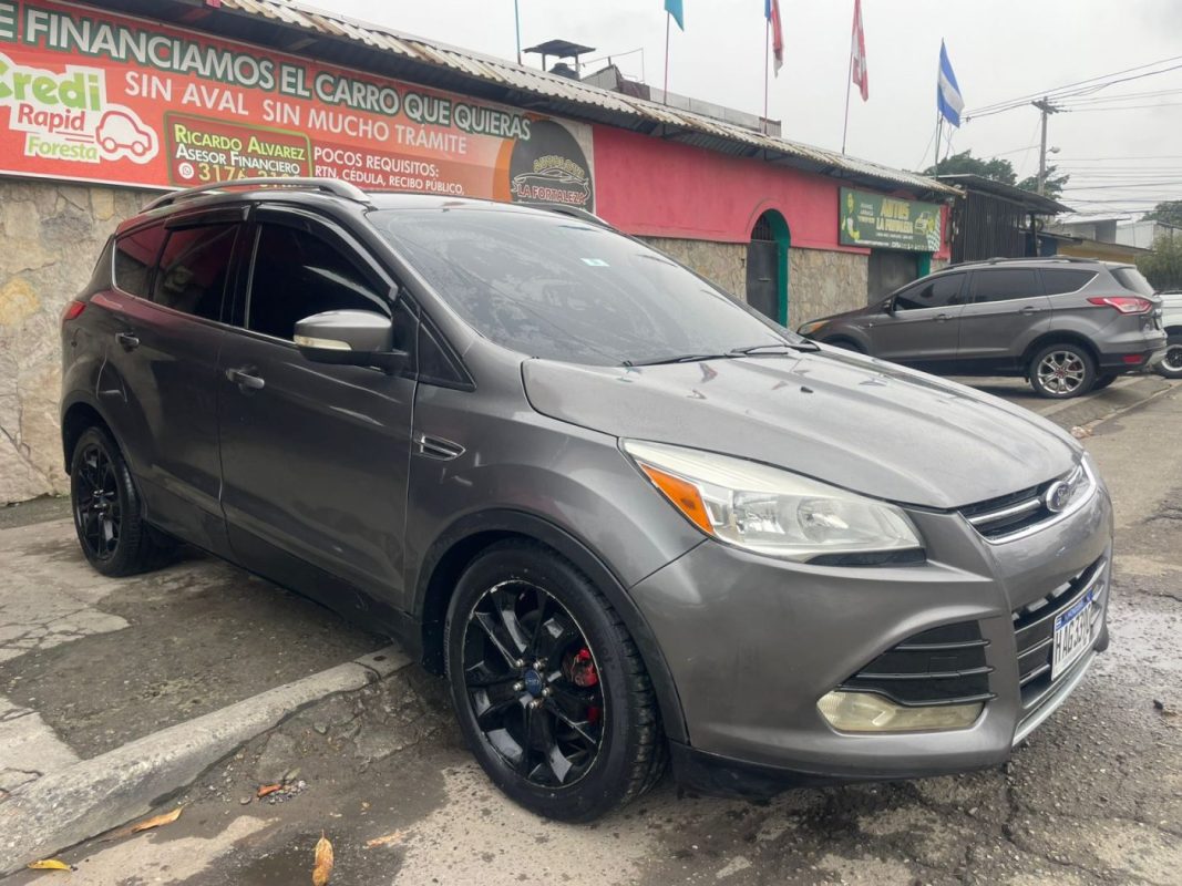 WhatsApp Image 2026-02-24 at 5.29.54 PM (1)