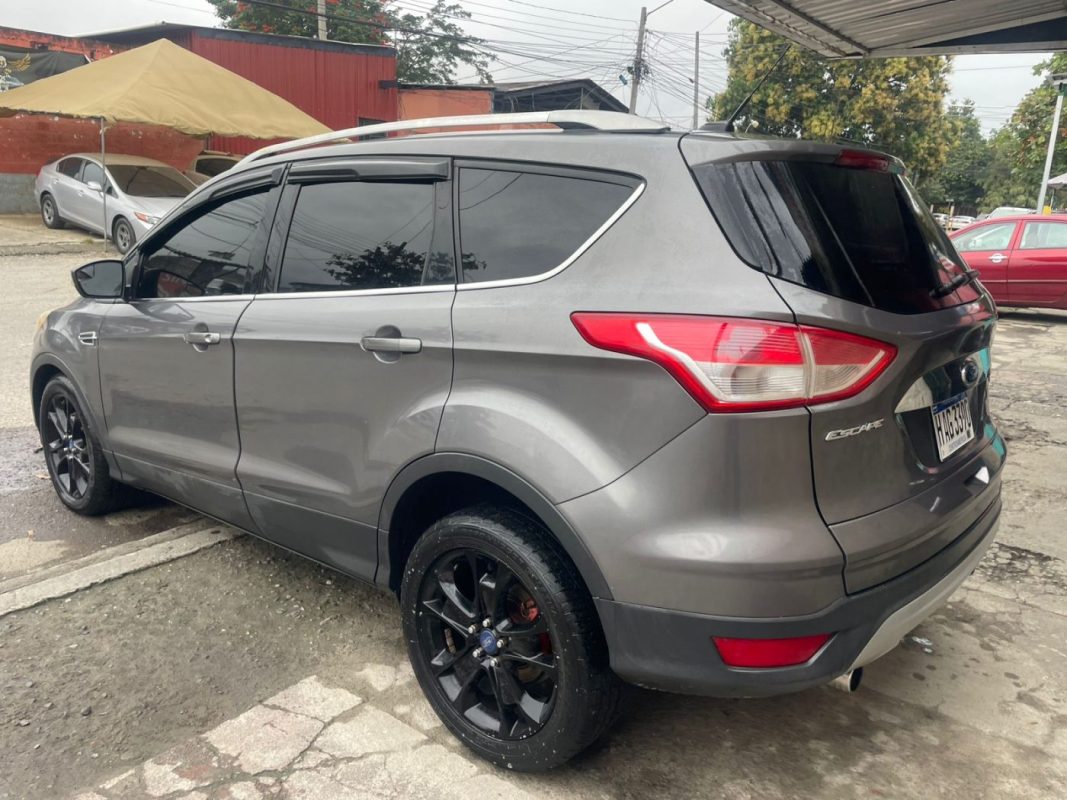 WhatsApp Image 2026-02-24 at 5.29.55 PM (1)