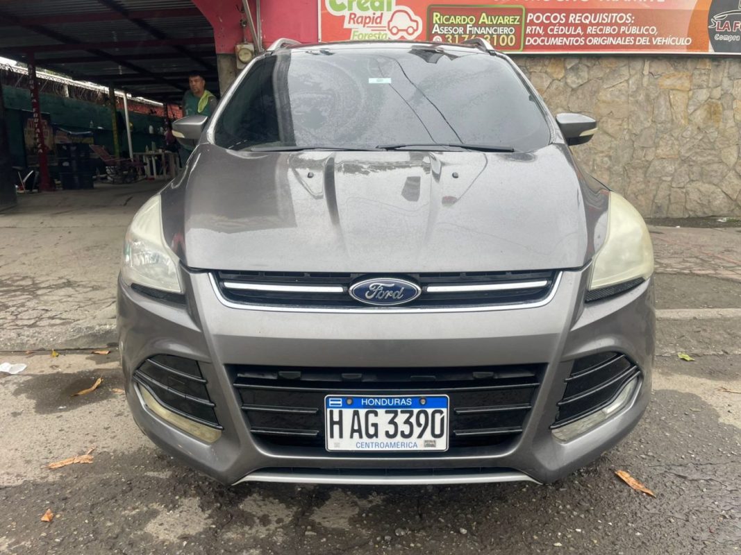 WhatsApp Image 2026-02-24 at 5.29.55 PM (2)