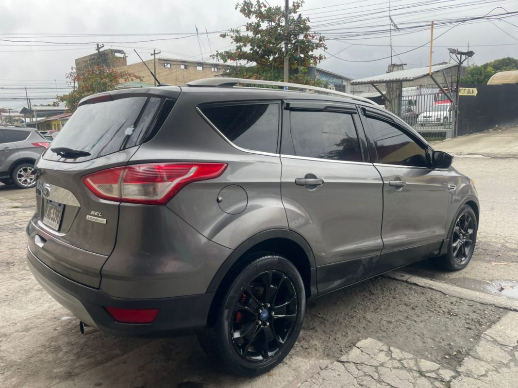 WhatsApp Image 2026-02-24 at 5.29.55 PM