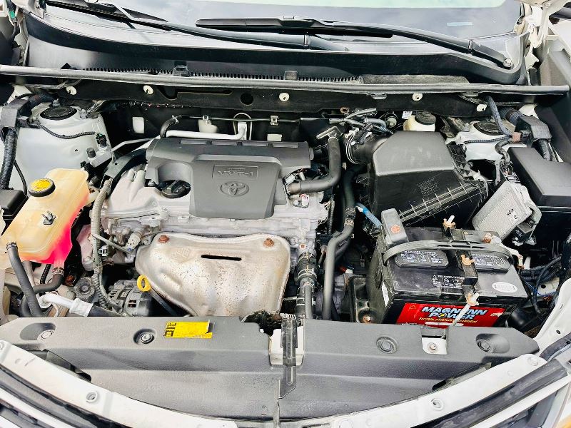 WhatsApp Image 2026-02-24 at 7.48.16 PM (4)