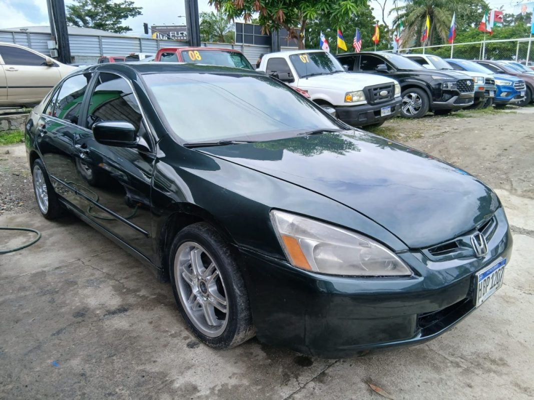 WhatsApp Image 2026-02-24 at 8.07.57 PM (1)