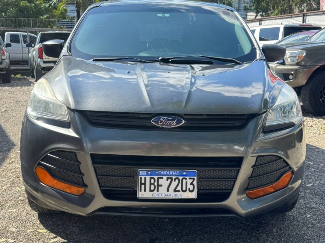 WhatsApp Image 2026-02-25 at 3.28.00 PM