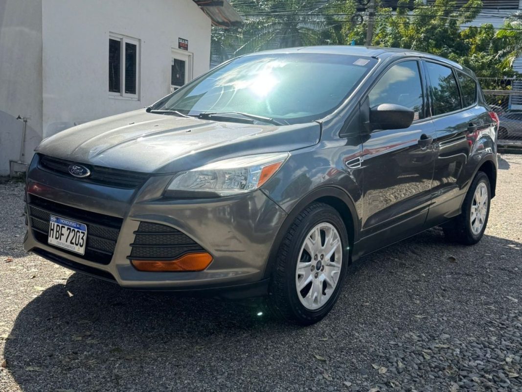 WhatsApp Image 2026-02-25 at 3.28.02 PM (1)