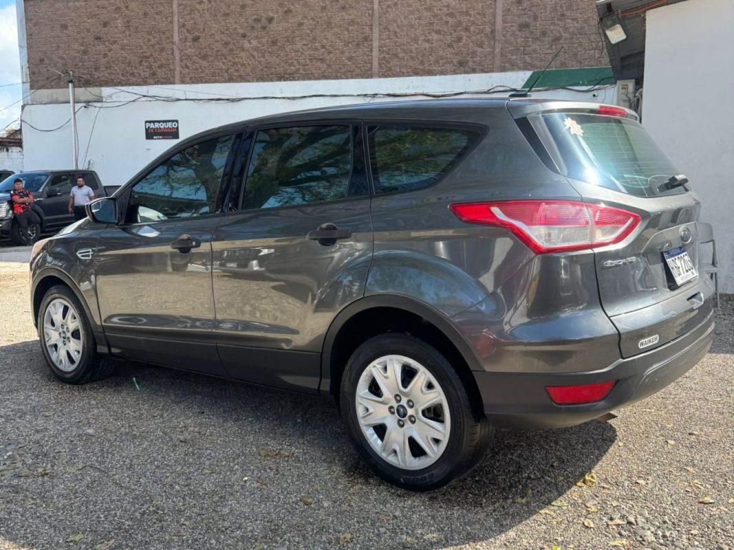 WhatsApp Image 2026-02-25 at 3.28.02 PM (3)