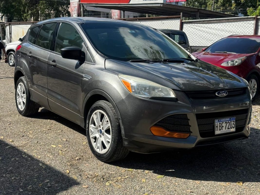 WhatsApp Image 2026-02-25 at 3.28.02 PM