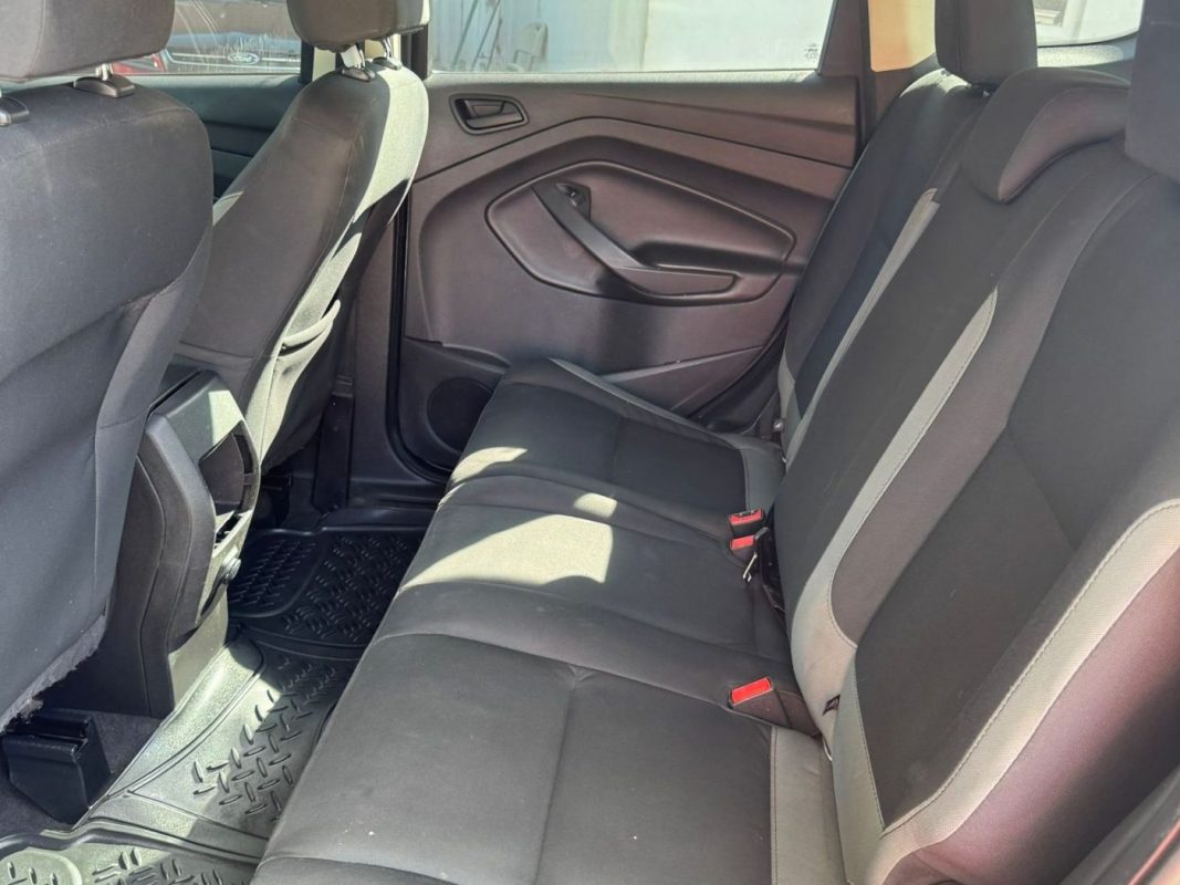 WhatsApp Image 2026-02-25 at 3.28.03 PM