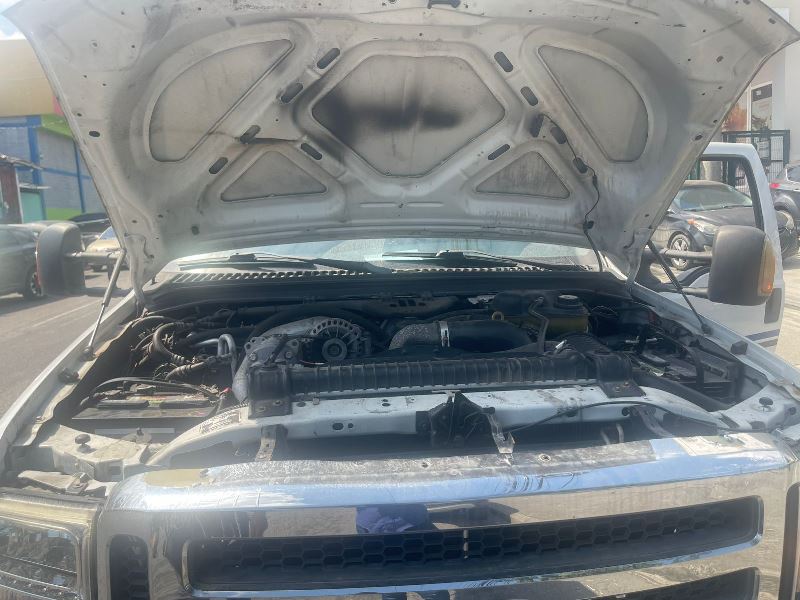 WhatsApp Image 2026-02-25 at 9.06.24 AM (3)