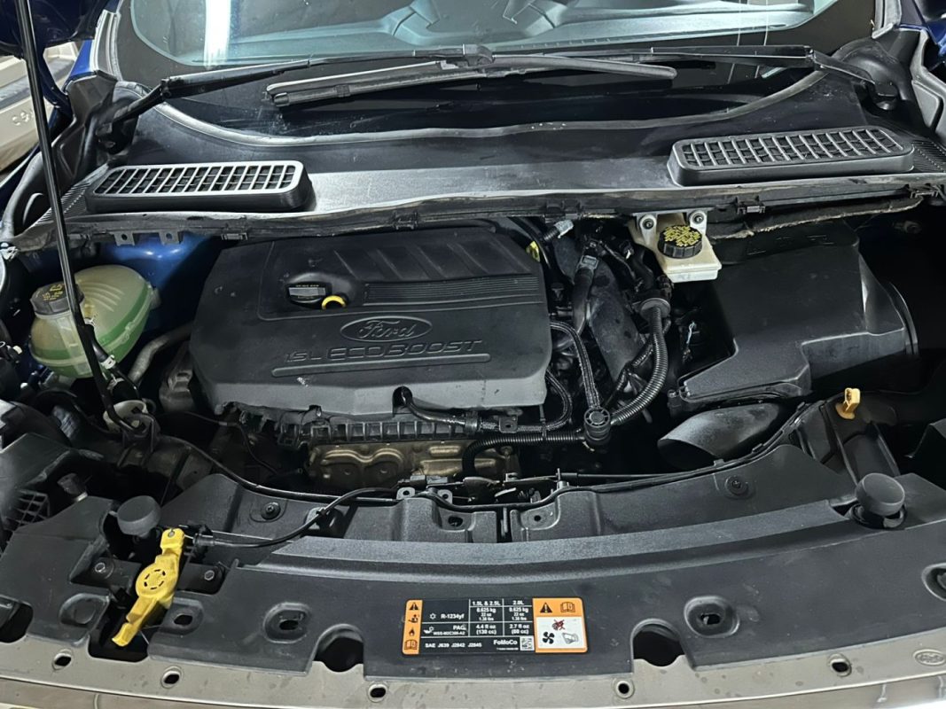 bd96cf03-105a-493a-9325-86bfc7f10e24