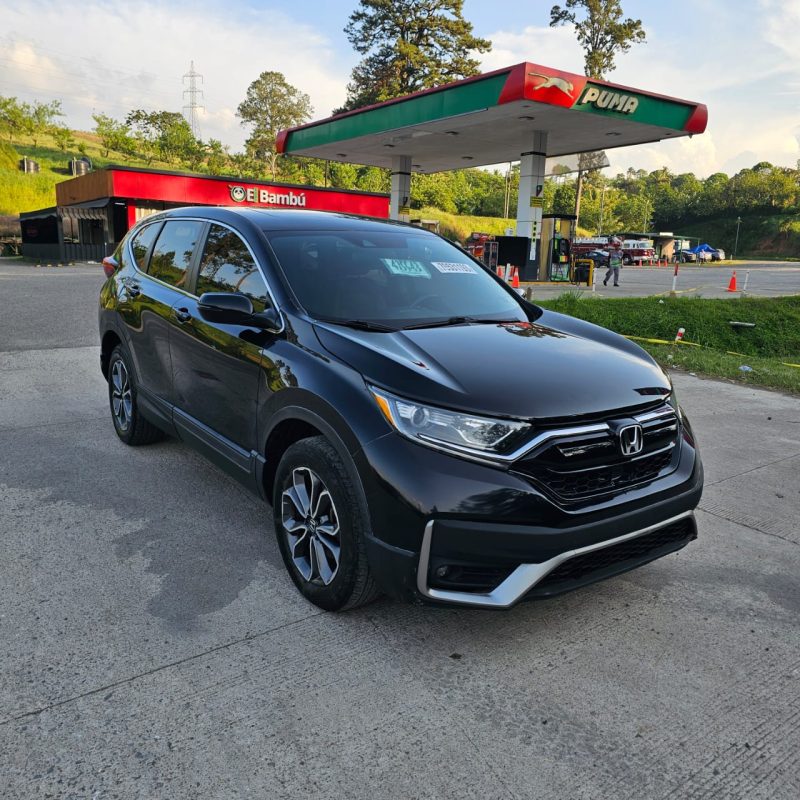 cca30556-1945-4fa6-ade5-59375d054c55