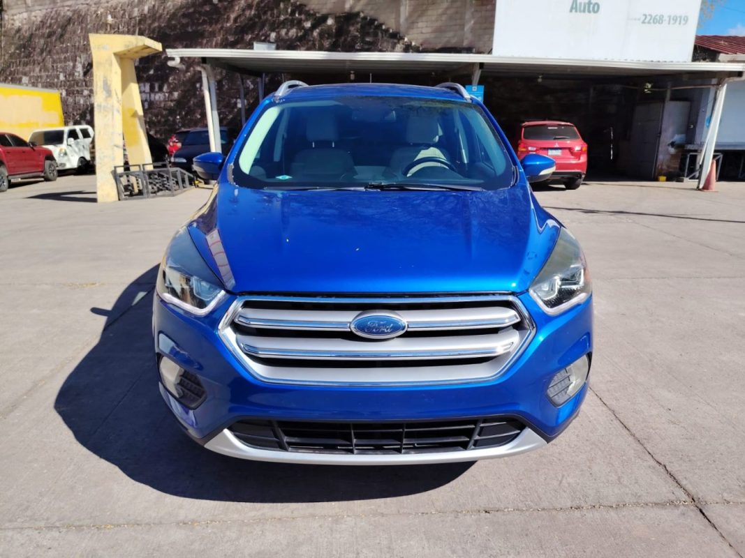 d357e1db-07cc-4cab-a861-8bdc39ce5547