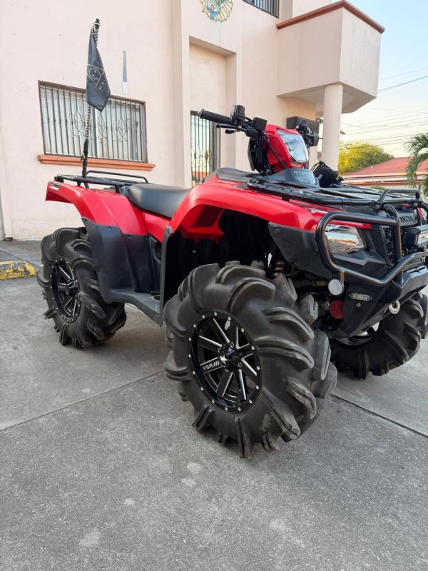 f50a8f69-7b73-4c8a-aa04-64e75d9a13a4