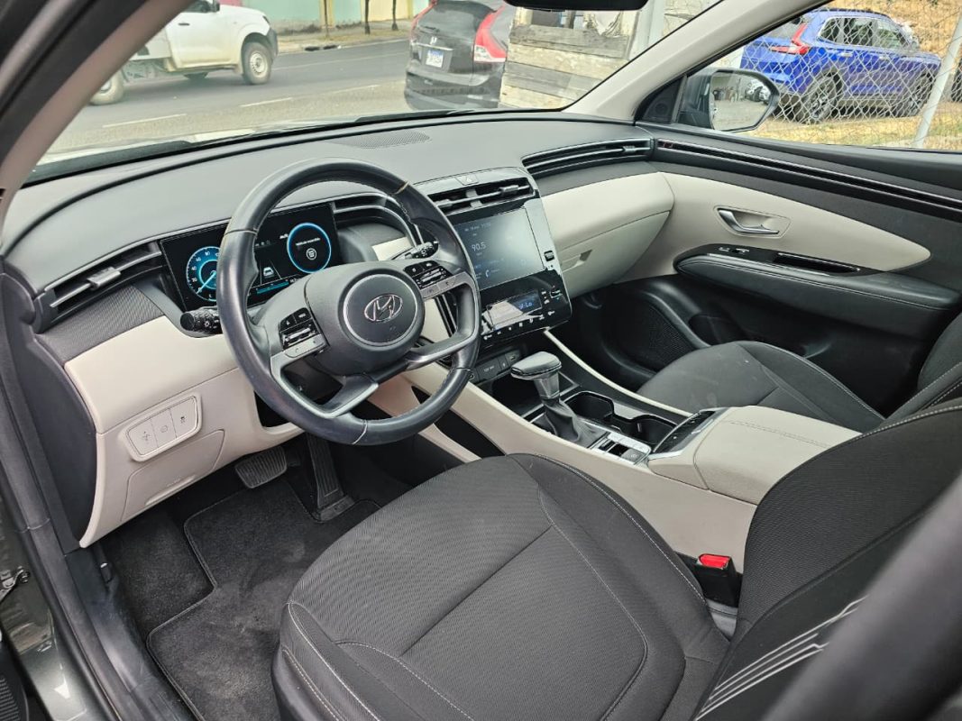 19580dfb-79a4-48e1-8186-39f60459da70