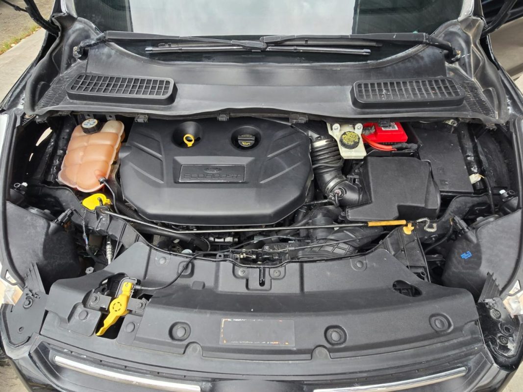 1bded4d6-3dc2-4906-bd47-94d5acddf811