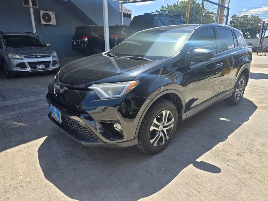 2ac1975c-d88a-435b-91f6-16b81a063419