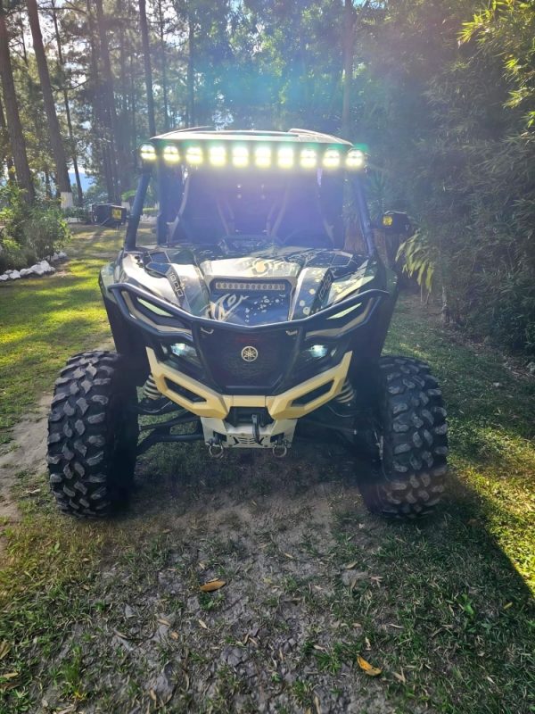 4e09391b-ae0b-4754-88f8-72208081afe5