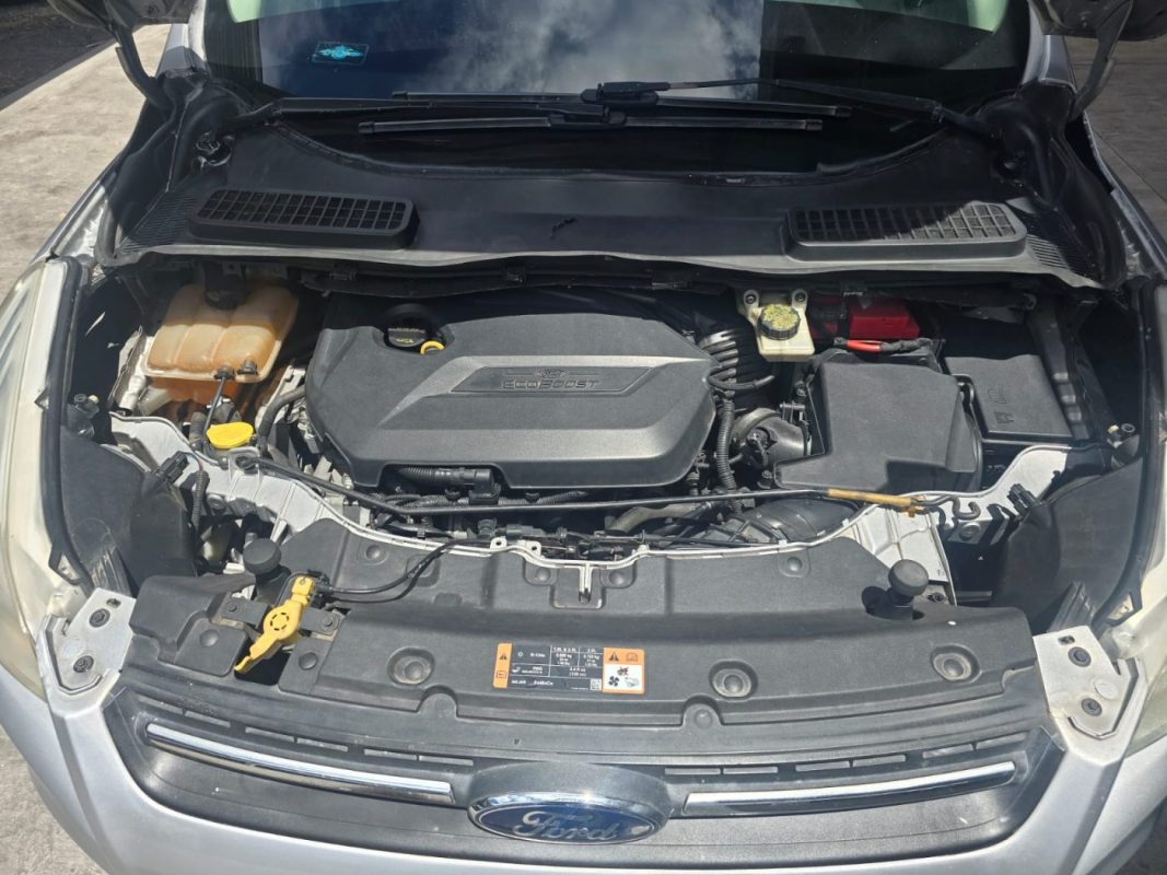 5435fc44-2c4e-4bf7-a63b-60f252b1f199