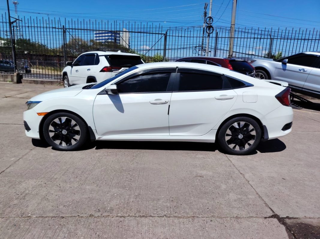 7c7b53c3-505e-4e3c-8999-47e202c17942