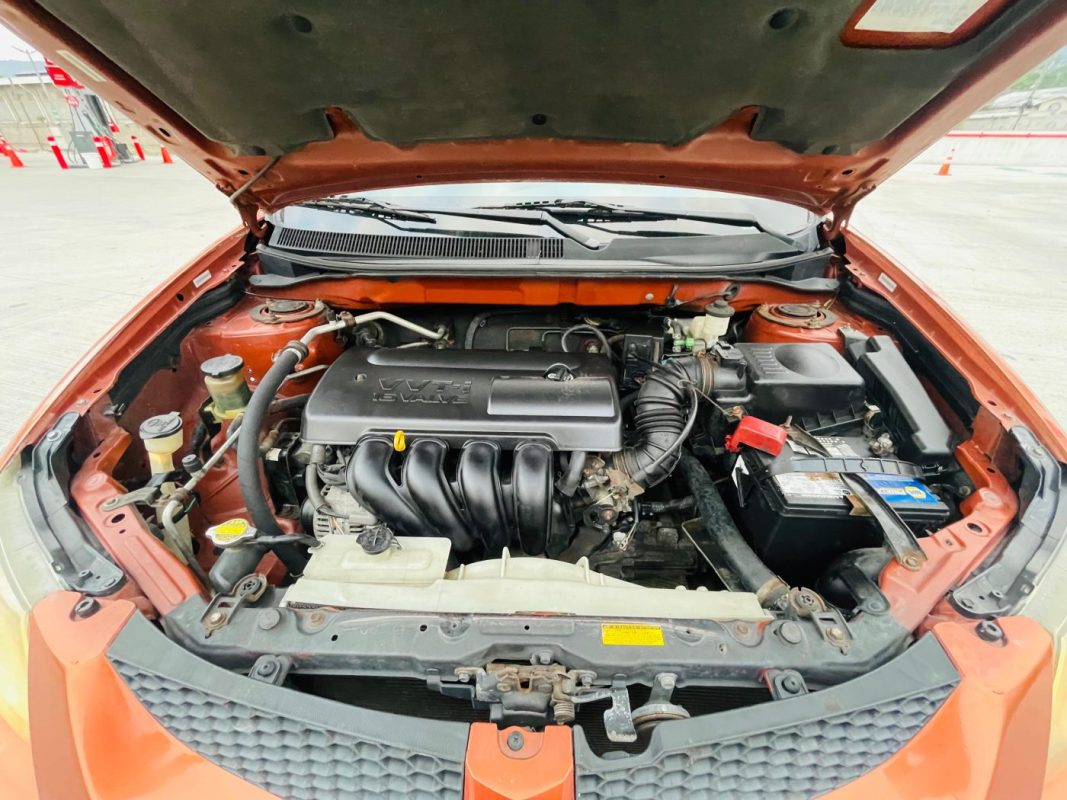 WhatsApp Image 2026-02-17 at 7.52.59 PM