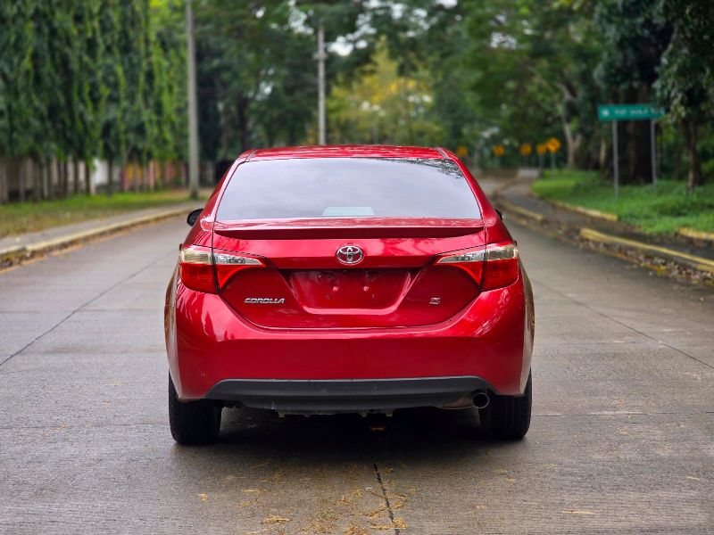 WhatsApp Image 2026-02-24 at 2.32.55 PM (1)