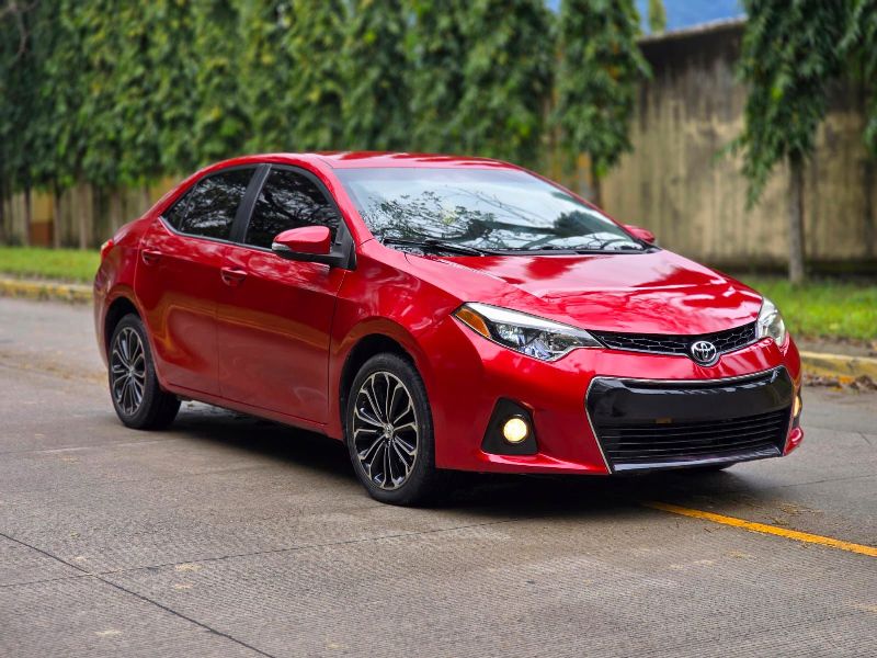 WhatsApp Image 2026-02-24 at 2.32.55 PM