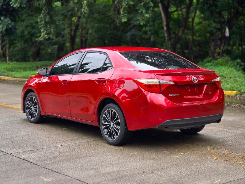 WhatsApp Image 2026-02-24 at 2.32.56 PM (1)