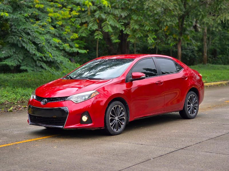 WhatsApp Image 2026-02-24 at 2.32.57 PM (1)