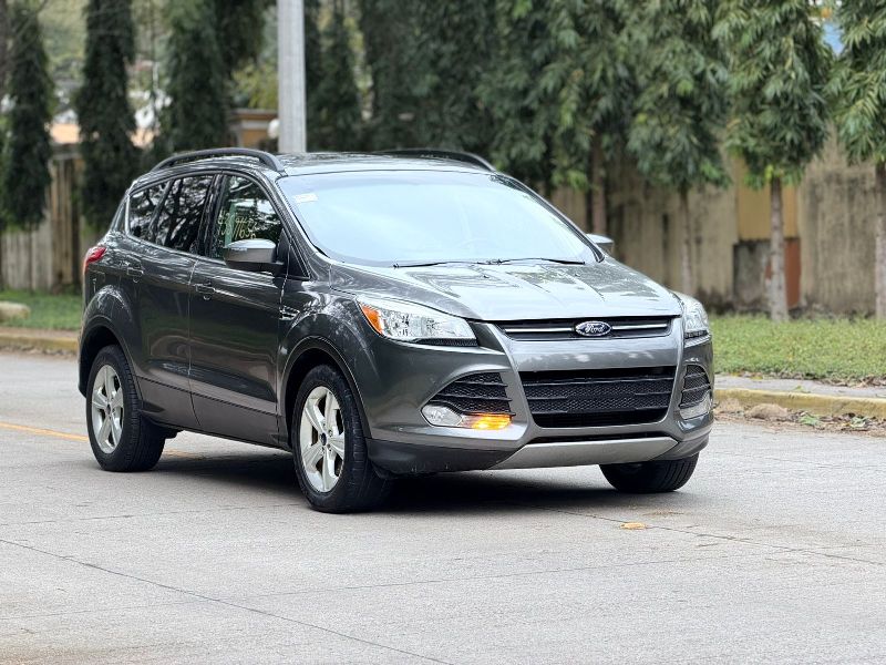 WhatsApp Image 2026-02-25 at 6.39.51 PM