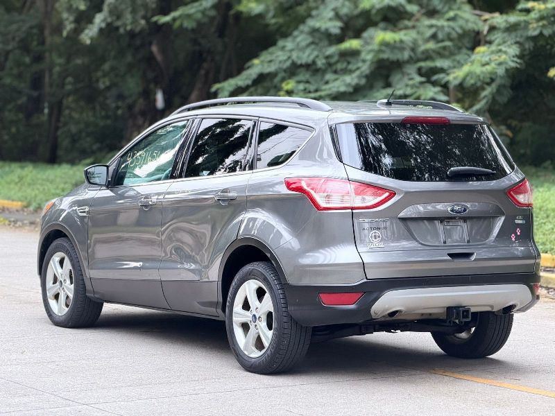 WhatsApp Image 2026-02-25 at 6.39.53 PM (3)